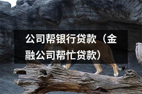 公司帮银行贷款（金融公司帮忙贷款）