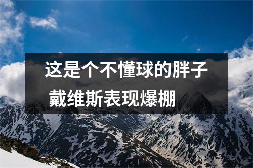这是个不懂球的胖子 戴维斯表现爆棚