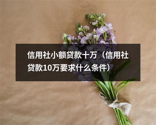 信用社小额贷款十万（信用社贷款10万要求什么条件）