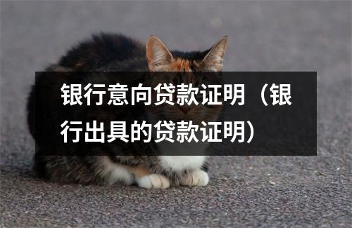 银行意向贷款证明(银行出具的贷款证明)
