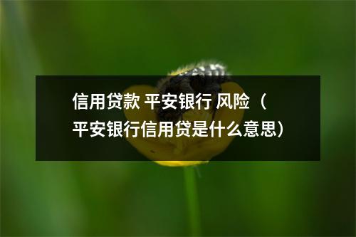 信用贷款 平安银行 风险（平安银行信用贷是什么意思）