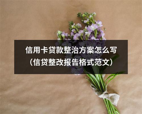 信用卡贷款整治方案怎么写（信贷整改报告格式范文）