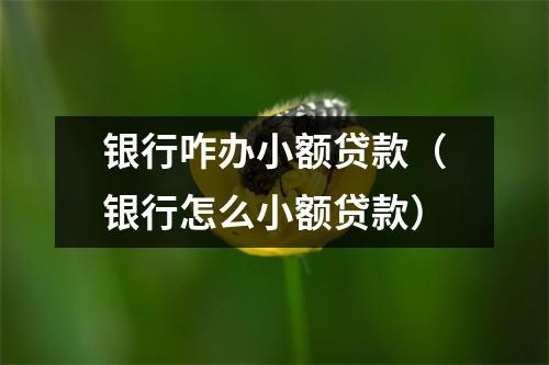 银行咋办小额贷款（银行怎么小额贷款）