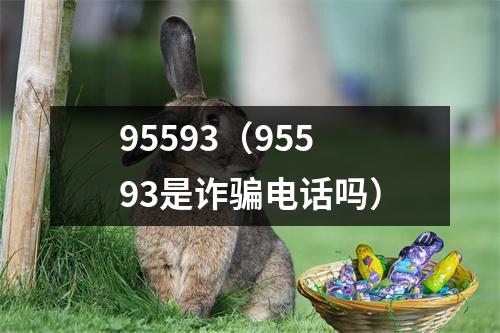95593（95593是诈骗电话吗）