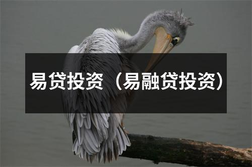 易贷投资（易融贷投资）