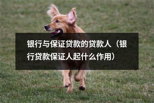 银行与保证贷款的贷款人（银行贷款保证人起什么作用）
