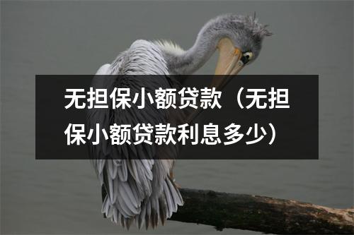 无担保小额贷款（无担保小额贷款利息多少）
