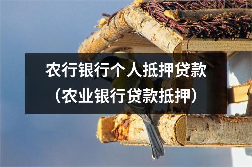 农行银行个人抵押贷款（农业银行贷款抵押）