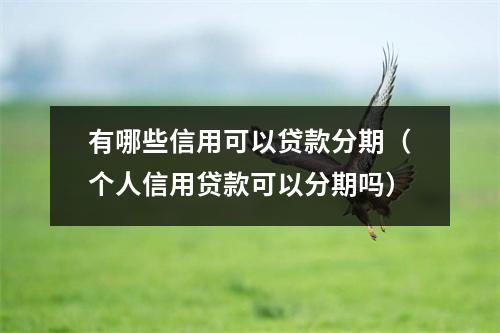 有哪些信用可以贷款分期（个人信用贷款可以分期吗）