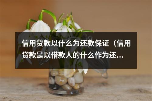 信用贷款以什么为还款保证（信用贷款是以借款人的什么作为还款保证的一种贷款方式）