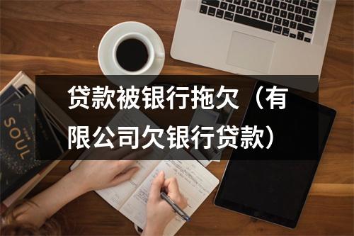 贷款被银行拖欠（有限公司欠银行贷款）