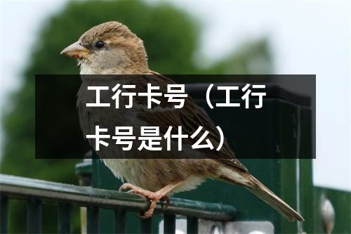 工行卡号（工行卡号是什么）