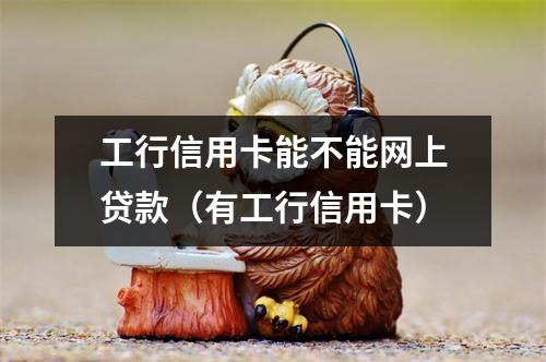 工行信用卡能不能网上贷款（有工行信用卡）