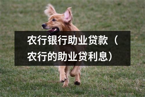 农行银行助业贷款(农行的助业贷利息)