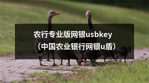 农行专业版网银usbkey（中国农业银行网银u盾）