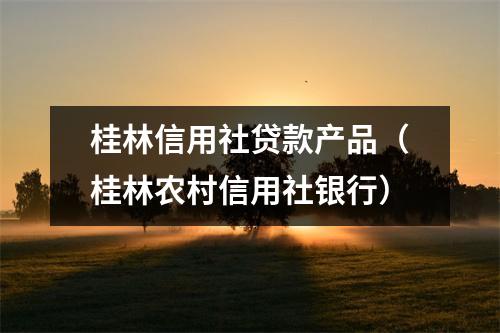 桂林信用社贷款产品(桂林农村信用社银行)