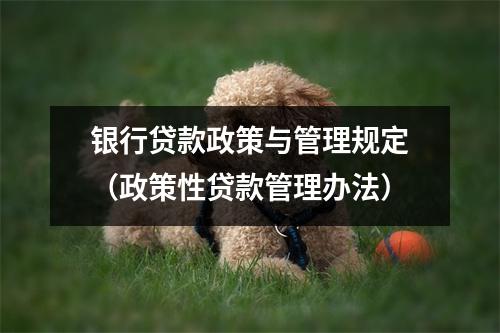 银行贷款政策与管理规定（政策性贷款管理办法）