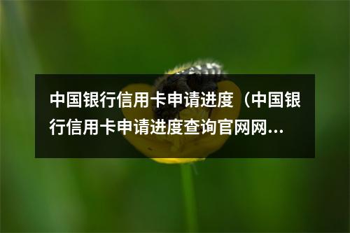中国银行信用卡申请进度（中国银行信用卡申请进度查询官网网址）