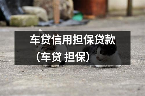 车贷信用担保贷款（车贷 担保）