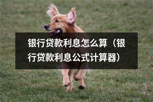 银行贷款利息怎么算（银行贷款利息公式计算器）