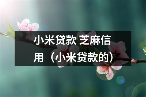 小米贷款 芝麻信用（小米贷款的）