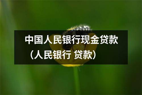 中国人民银行现金贷款（人民银行 贷款）