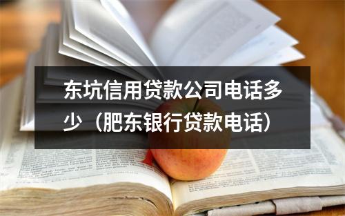 东坑信用贷款公司电话多少（肥东银行贷款电话）