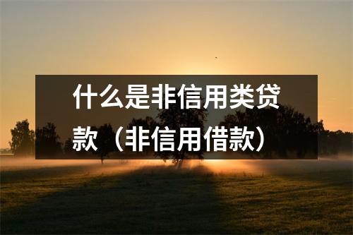什么是非信用类贷款（非信用借款）