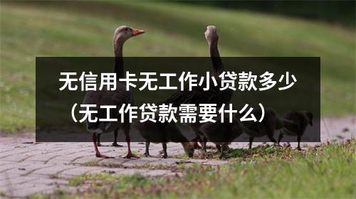 无信用卡无工作小贷款多少（无工作贷款需要什么）