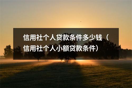 信用社个人贷款条件多少钱（信用社个人小额贷款条件）