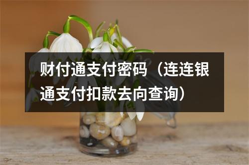财付通支付密码（连连银通支付扣款去向查询）