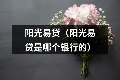 阳光易贷（阳光易贷是哪个银行的）