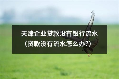 天津企业贷款没有银行流水（贷款没有流水怎么办?）
