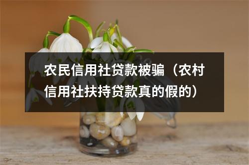 农民信用社贷款被骗（农村信用社扶持贷款真的假的）