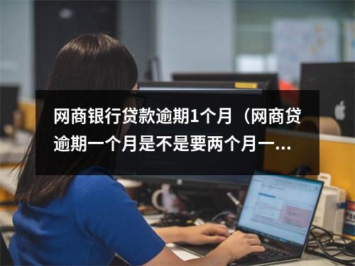网商银行贷款逾期1个月（网商贷逾期一个月是不是要两个月一起还了）