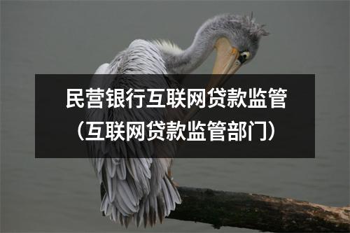 民营银行互联网贷款监管（互联网贷款监管部门）