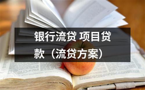 银行流贷 项目贷款（流贷方案）