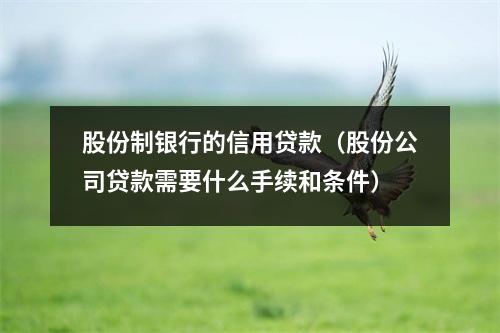 股份制银行的信用贷款（股份公司贷款需要什么手续和条件）