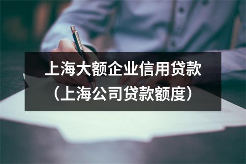 上海大额企业信用贷款(上海公司贷款额度)