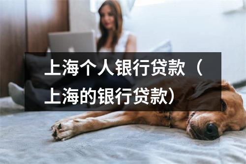 上海个人银行贷款（上海的银行贷款）