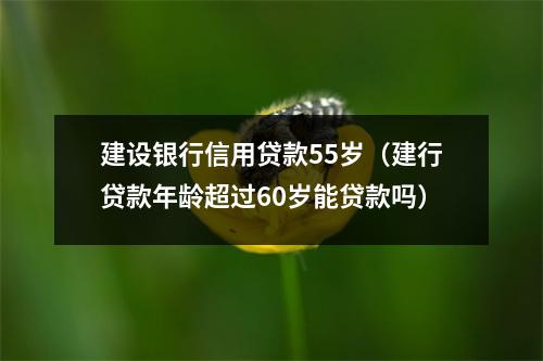 建设银行信用贷款55岁(建行贷款年龄超过60岁能贷款吗)