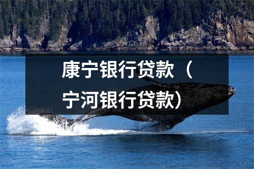 康宁银行贷款（宁河银行贷款）