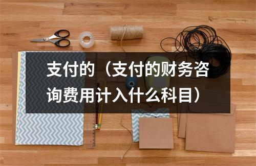 支付的（支付的财务咨询费用计入什么科目）