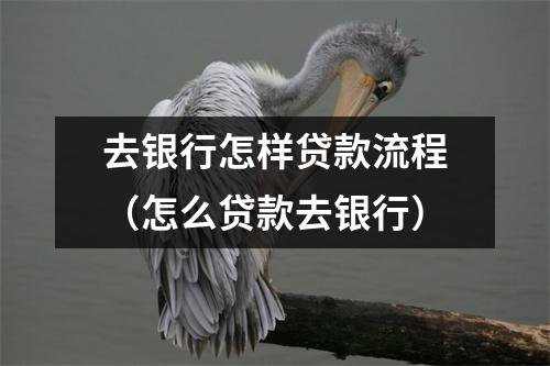 去银行怎样贷款流程（怎么贷款去银行）