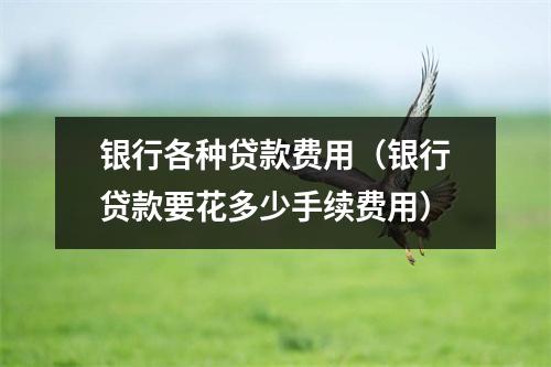 银行各种贷款费用（银行贷款要花多少手续费用）