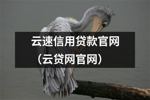 云速信用贷款官网（云贷网官网）