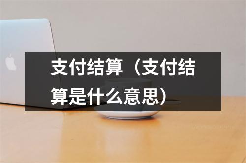 支付结算（支付结算是什么意思）