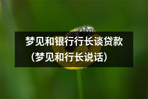 梦见和银行行长谈贷款（梦见和行长说话）