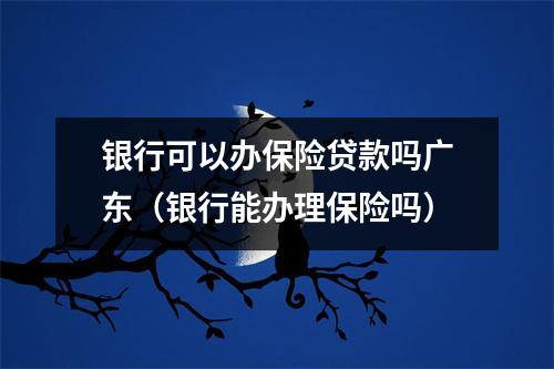 银行可以办保险贷款吗广东（银行能办理保险吗）