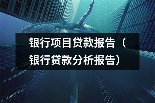 银行项目贷款报告（银行贷款分析报告）